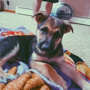 Meet your Posher, Hailey